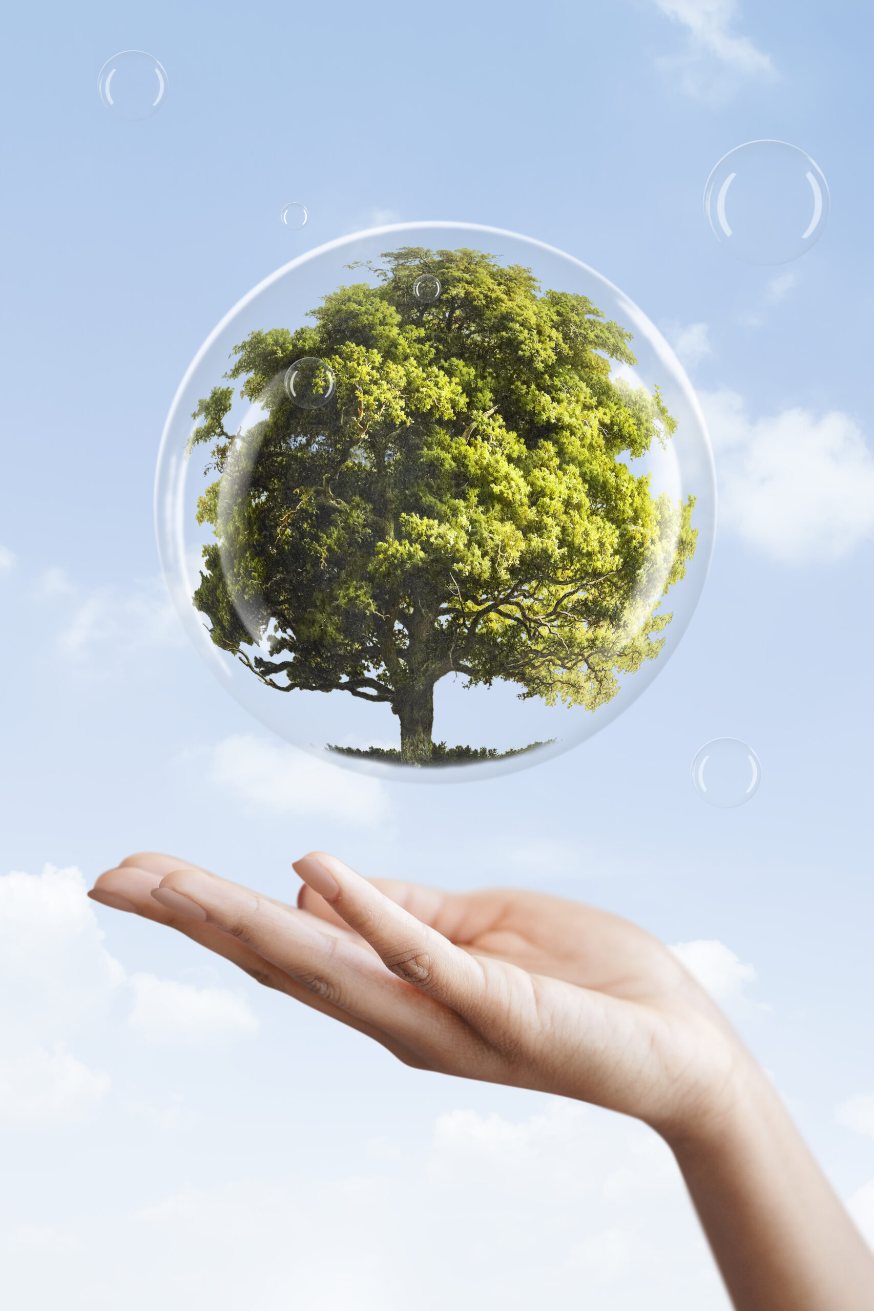 Sustainability 1 earth day campaign hand showing tree bubble media mix scaled